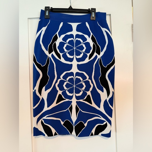 Stunning Alexander McQueen Skirt - Picture 3 of 5